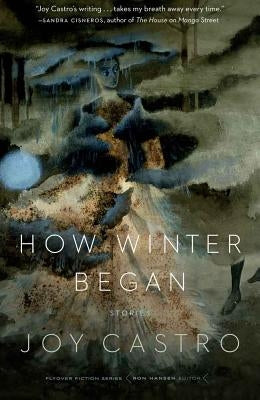 How Winter Began: Stories by Castro, Joy